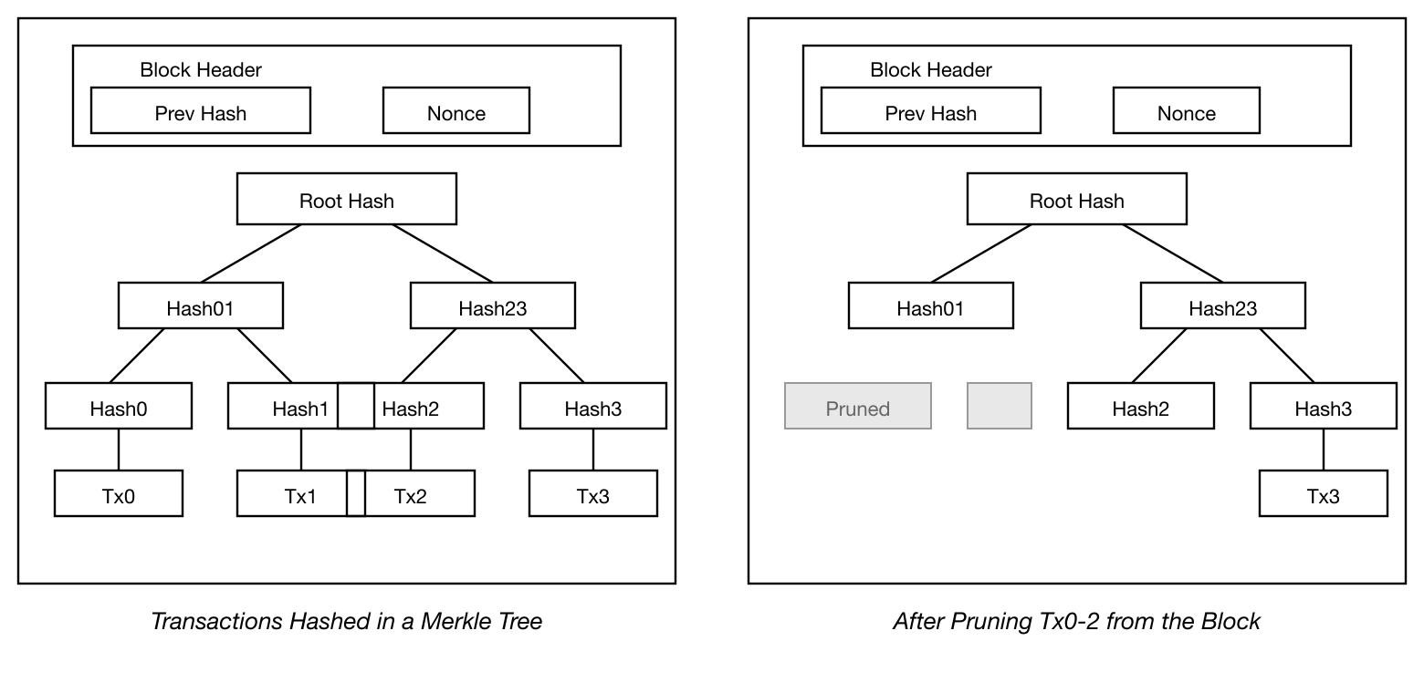 Bitcoin Merkle Tree diagram showing transaction hashing and block pruning